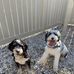 Frances Donahue Finley - Facebook