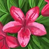 Fran Fish - @fran.fish - TikTok