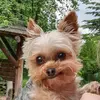 Franfish - @franfishthesecond - TikTok
