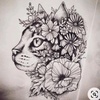 Fran Foley7 - @willa.cat - TikTok