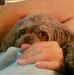 Fran Foreman - Facebook