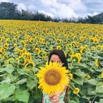Fran Fossy - @fran_fossy - Instagram