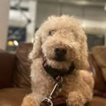 Fran&Frank - @fran_v_frank - Instagram