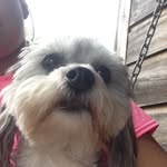 Fran Franks - @fran_franks1914 - Instagram