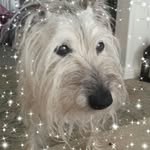 Fran Freeman - @fran08freeman - Instagram