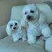 Fran Friedman - Facebook