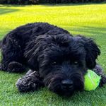 Mr. Frank Friedman - @mr.frankfriedman - Instagram