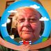Fran Fulton - Facebook