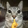 Francgabriell_ - @gabbrrrill - TikTok