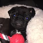 Frank Gamble - @frankgamble56 - Instagram