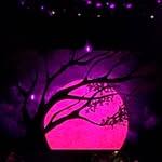 Fran N Dave Garrett - @fran_garrett - Instagram