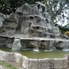 Fran Garza - @fran.garza4 - TikTok