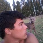 Fran Gerber - @frangerber - Instagram