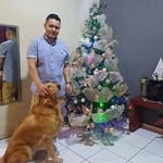 Francisco German - @fran_german - Instagram