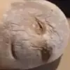 Fran_Gibbs69 - @frangibby69 - TikTok