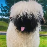 @denna_frances_glass - Instagram