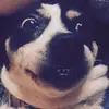 Franny Glass - @franny.glass2 - TikTok