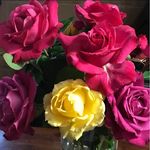 Fran Turner - @franglenn - Instagram