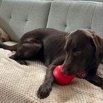 Fran Goldstein - @fdgoldstein - Instagram