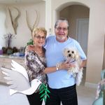 Fran Goldstein - @goldsteinpaulfran - Instagram
