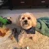 Fran Goldstein - @fran.goldstein - TikTok