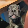 Fran Gonzales - @fran.gonzales70 - TikTok