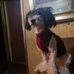 Fran Good - Facebook