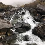 Fran Goodman - @frangoodman1 - Instagram