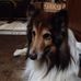 Fran Gore - Facebook
