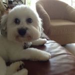 Fran Greenberg - @greenberg.fran - Instagram
