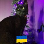 Fran Greene - @troubledraven - Instagram