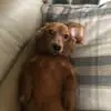 Fran Greer - @fran.greer - TikTok