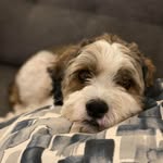 Frances Greer - @frangreer_ - Instagram