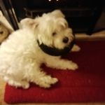 Fran Griffiths - @frangriffiths3 - Instagram