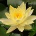 Francisco Grimaldi Garcia - Facebook