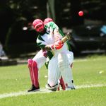 Frank Grimes - @skulzy7 - Instagram