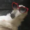 frankgrimesofficial - @frankgrimesofficial - TikTok