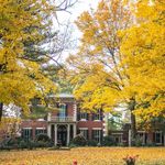 Franklin Grove - @franklingroveestateandgardens - Instagram