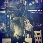 Francisco hacker - @francisco.hacker - Instagram