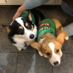 hadley jo & oakley ann - @hadley_oakley__frankenstein - Instagram