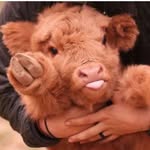 Fran Hager - @francyane_vegan - Instagram