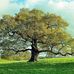 Fran Haley Morava - Facebook