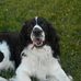 Fran Hanley - Facebook