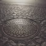 Fran Hansen - @my_color_picker - Instagram