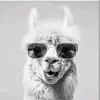 Frank Hansen - @frank.hansen04 - TikTok
