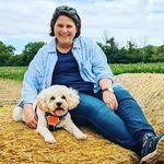 Fran Harvey - @franharvey - Instagram