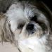 Fran Hay - Facebook