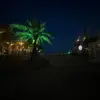 fran - @franhayes700 - TikTok