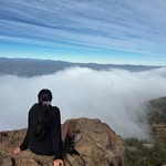 @franheckersdorf - Instagram