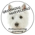 fran heller - @grooming_marvellous_plymouth - Instagram